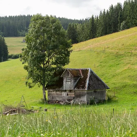 Апартаменты Baerenhof Backhaus Айзенбах