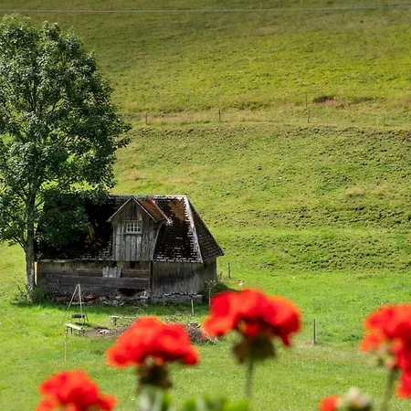 Апартаменты Baerenhof Backhaus *