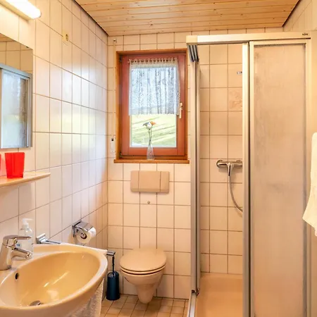 Апартаменты Baerenhof Backhaus Айзенбах